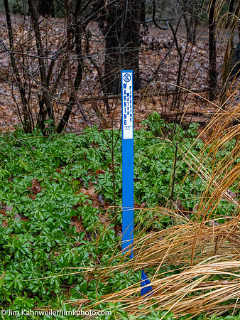 JimKPhoto_1010121