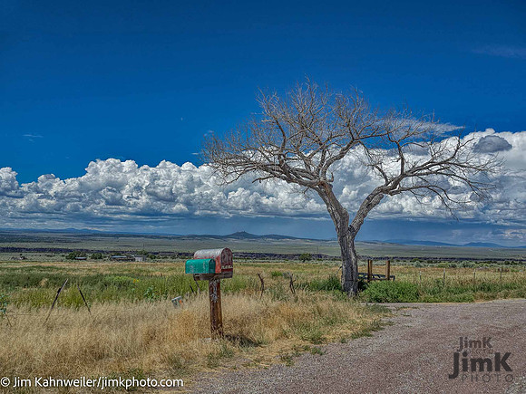 JimKPhoto_JKB6625