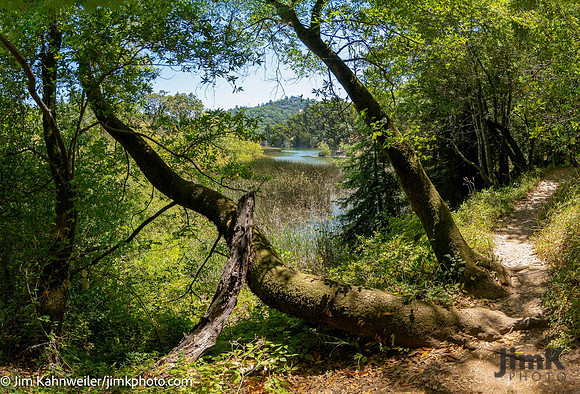 JimKPhoto_DSC3854-Pano