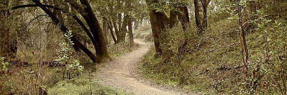 china camp trail SFH621