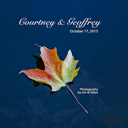 leaf_on_pond_cover