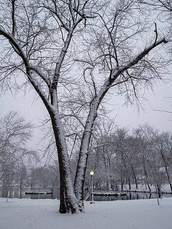 JimKPhoto_2057893
