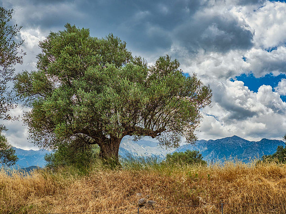 JimKPhoto_6056641-Edit