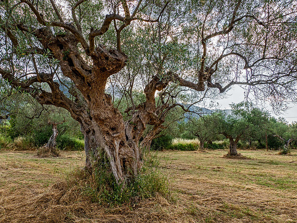 JimKPhoto_6046576