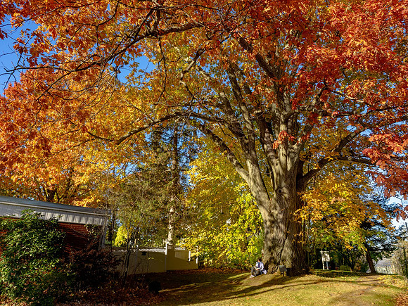 JimKPhoto_B131775