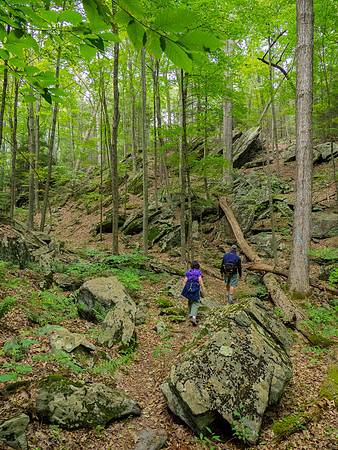 JimKPhoto_9023445