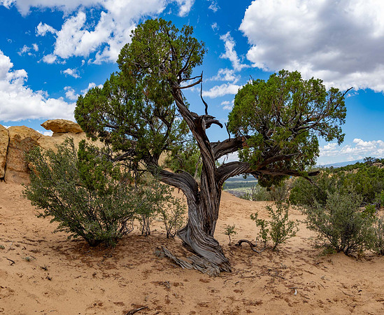 JimKPhoto_8128726-Pano