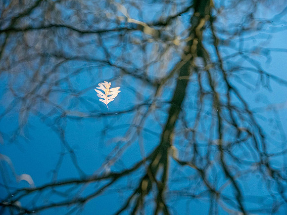 JimKPhoto_C160659