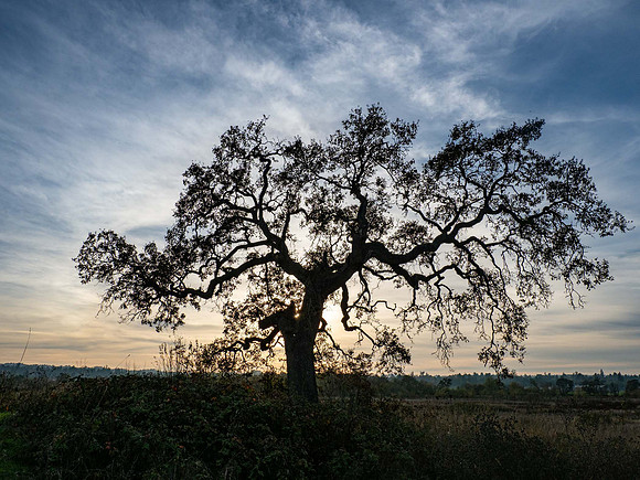 JimKPhoto_B210706