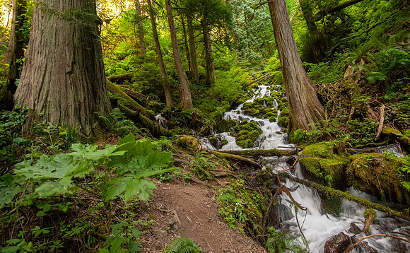 JimKPhoto_DCS4492