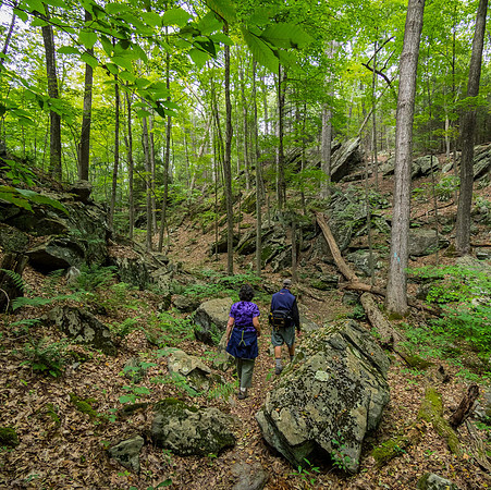 JimKPhoto_9023439-Pano-Edit