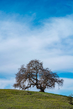 JimKPhoto_DSC8399