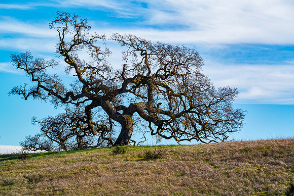 JimKPhoto_DSC8401-Edit