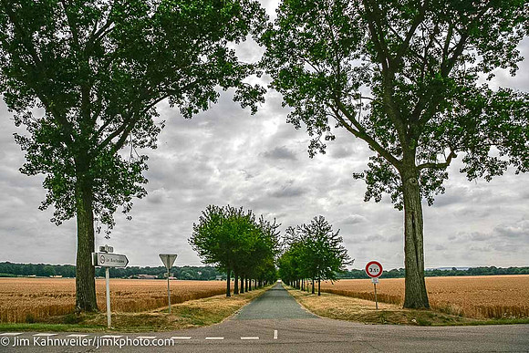 JimKPhoto__MG_4960-2