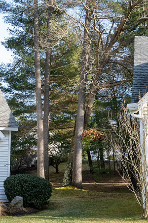 JimKPhoto_DSC5845