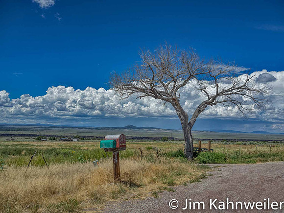 JimKPhoto_JKB6625