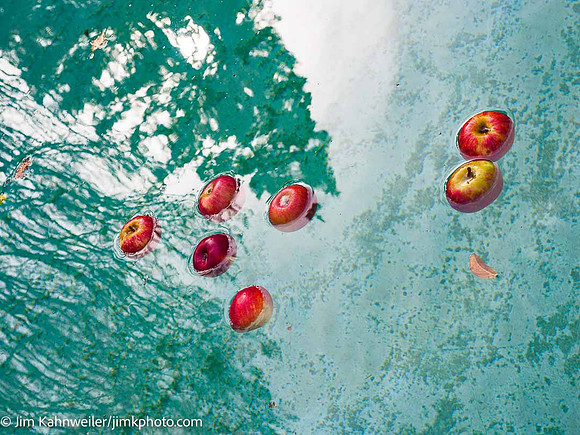 JimKPhoto_Apples Floating in a Pool_JKX9187