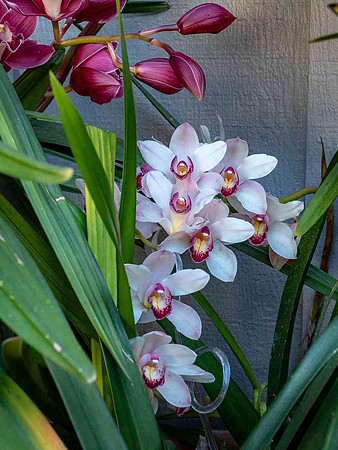 JimKPhoto_3212558