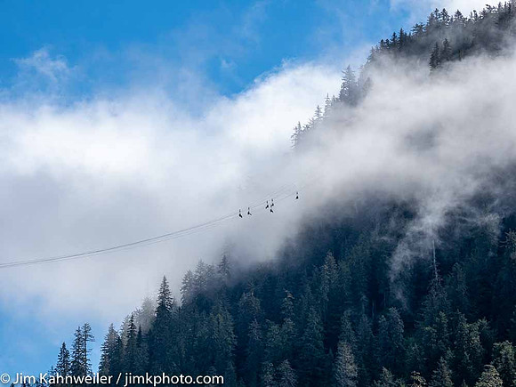 JimKPhoto_245_6056780