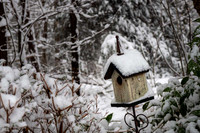 JimKPhoto_2135678