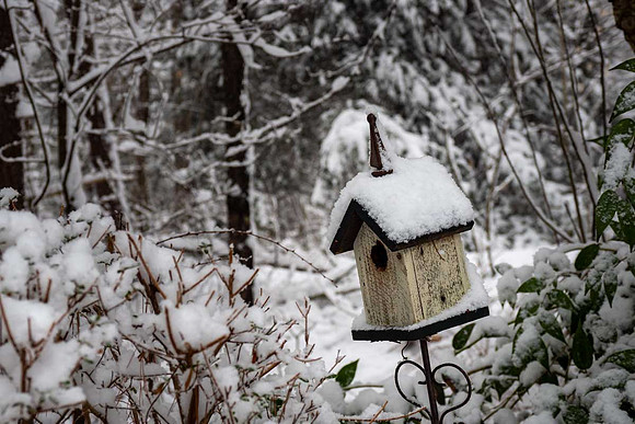 JimKPhoto_2135678