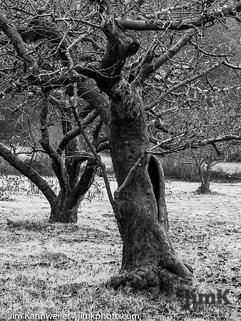 JimKPhoto__C191004