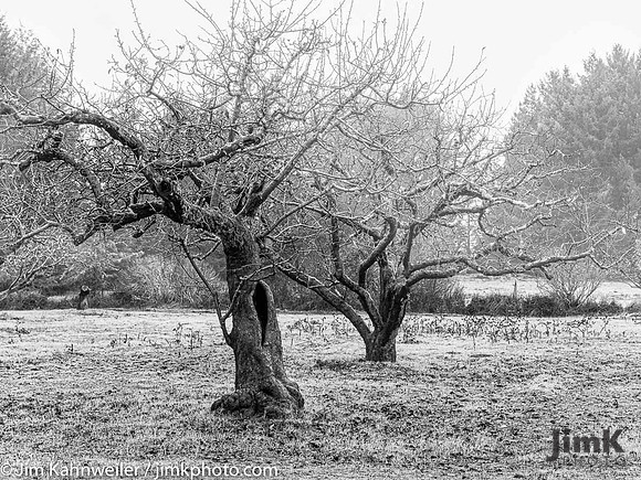 JimKPhoto__C190999-Edit-2