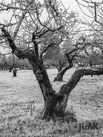 JimKPhoto__C190977-2