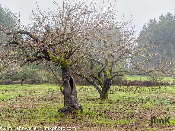 JimKPhoto__C190999-Edit