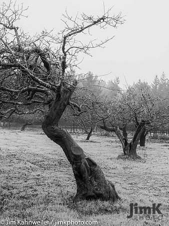 JimKPhoto__C190969-2