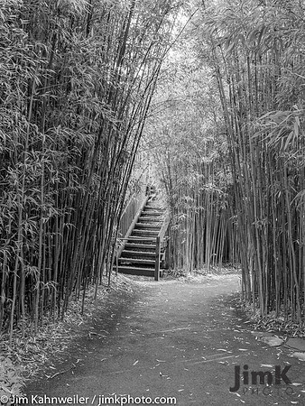 JimKPhoto__C140713-2