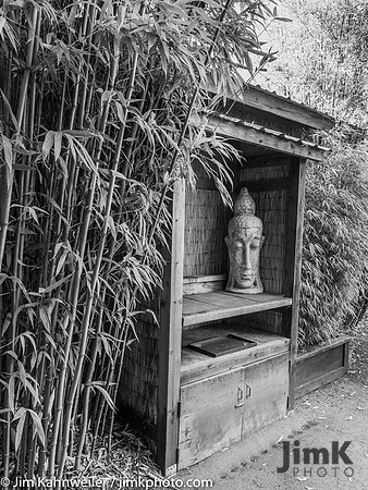 JimKPhoto__C140709-2