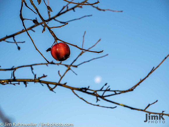 JimKPhoto__C140645