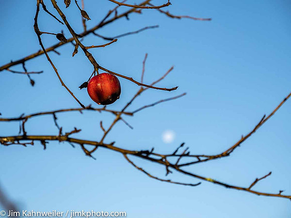 JimKPhoto__C140645