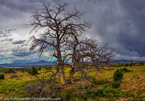 _8161041-Pano-Edit