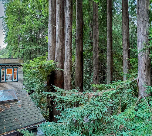 JimKPhoto_IMG_7457-Pano