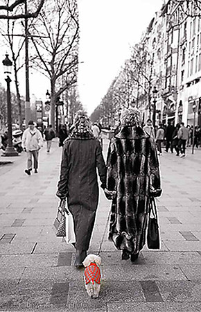 JimKPhoto_sur_la_champs_elysee_card