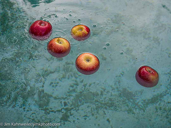 JimKPhoto__JKX9171