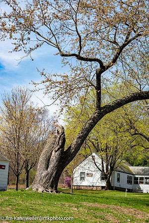 JimKPhoto_JK_9497