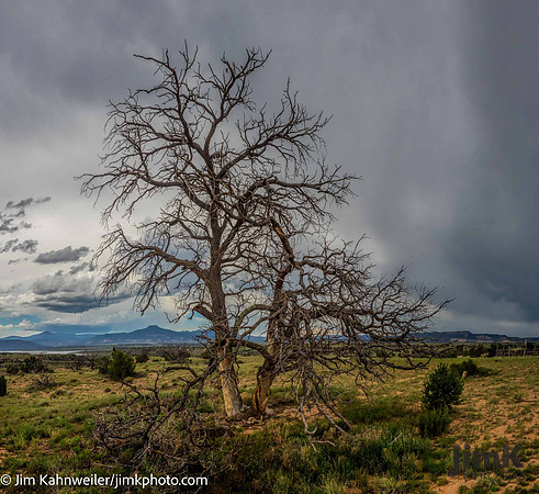 JimKPhoto_8161033-Pano-Edit-Edit