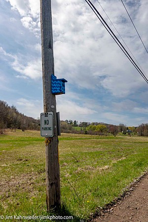 JimKPhoto_JK_9484