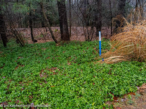 JimKPhoto_1010120