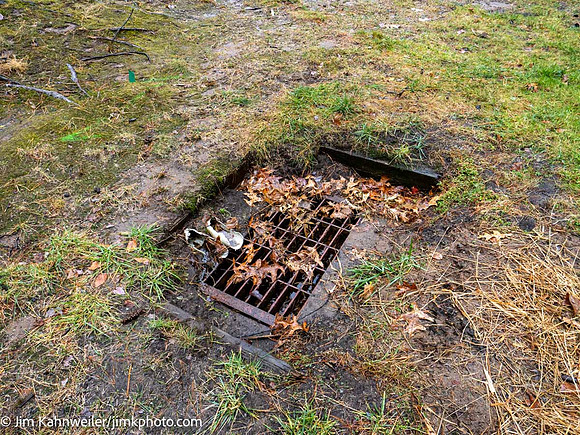 JimKPhoto_1010108