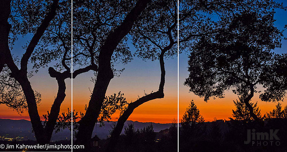 JimKPhoto_JK18250-2 tri2